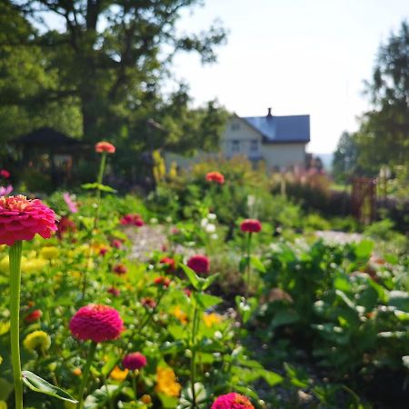 Disponentparken Cafe Och Bed & Breakfast Grängesberg Eksteriør billede