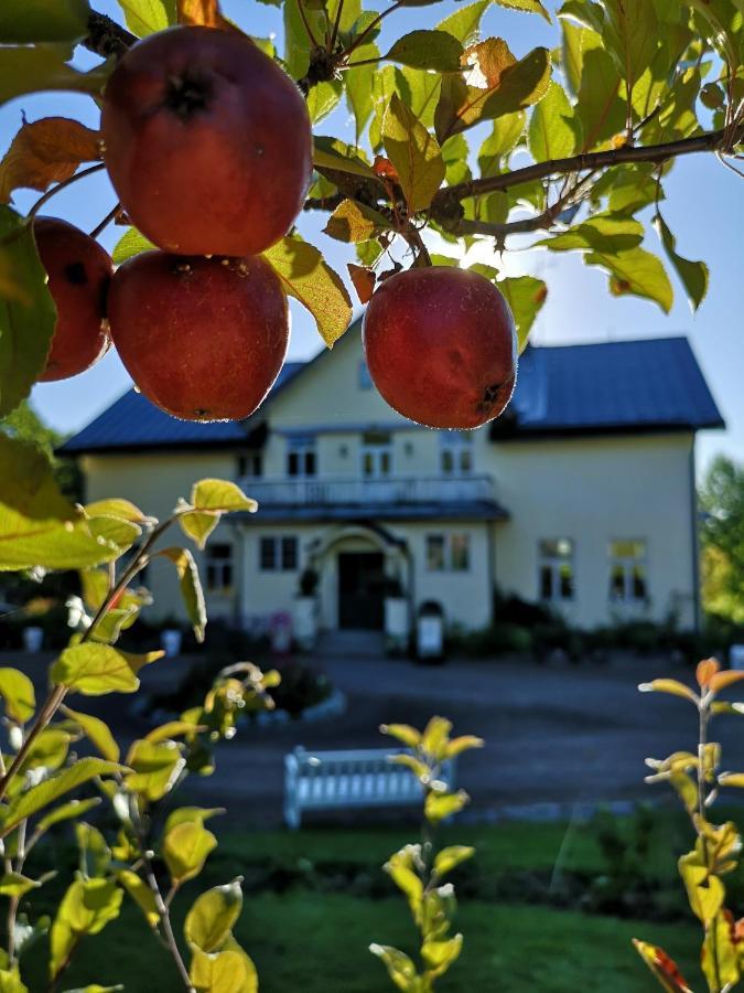 Disponentparken Cafe Och Bed & Breakfast Grängesberg Eksteriør billede