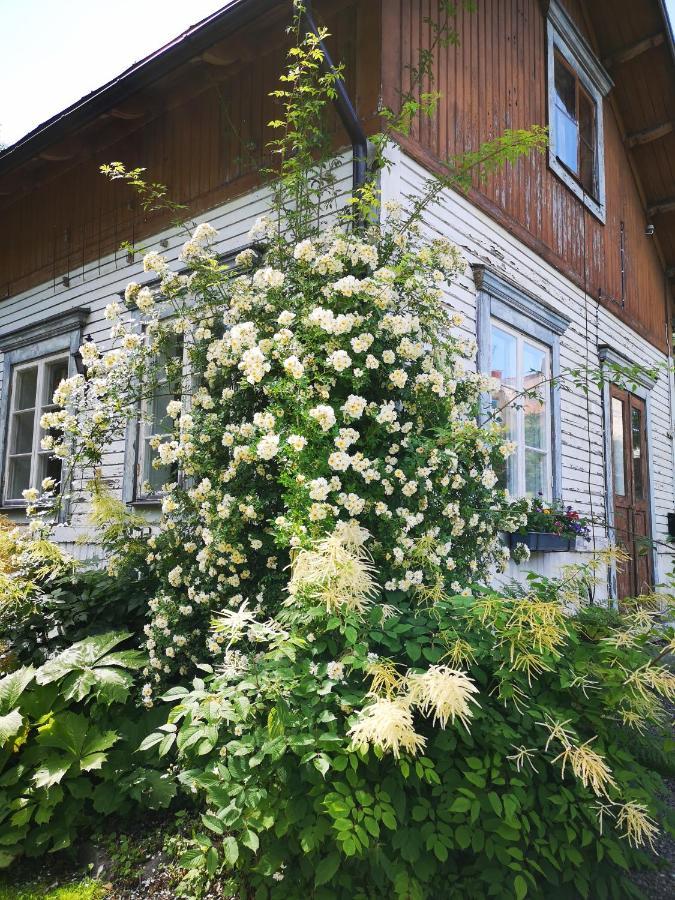Disponentparken Cafe Och Bed & Breakfast Grängesberg Eksteriør billede