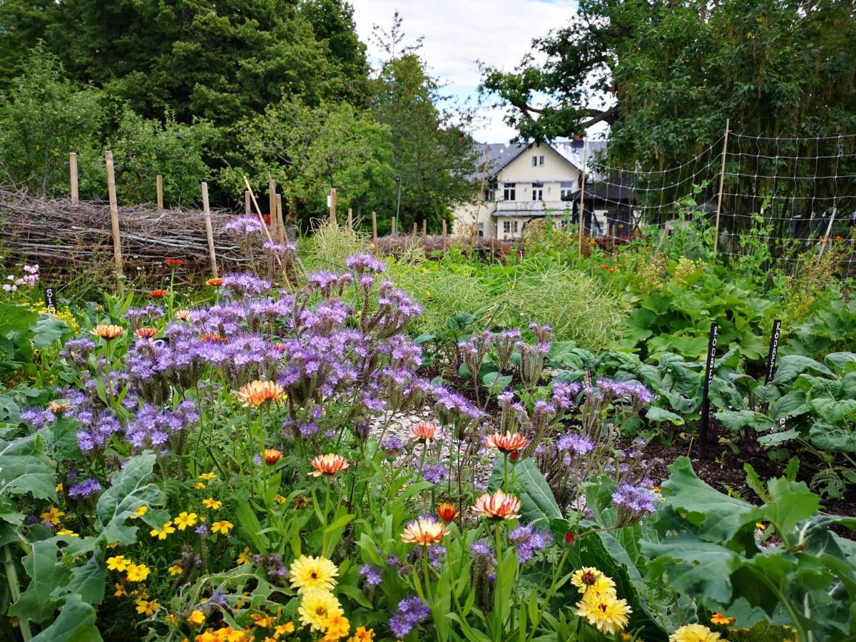 Disponentparken Cafe Och Bed & Breakfast Grängesberg Eksteriør billede